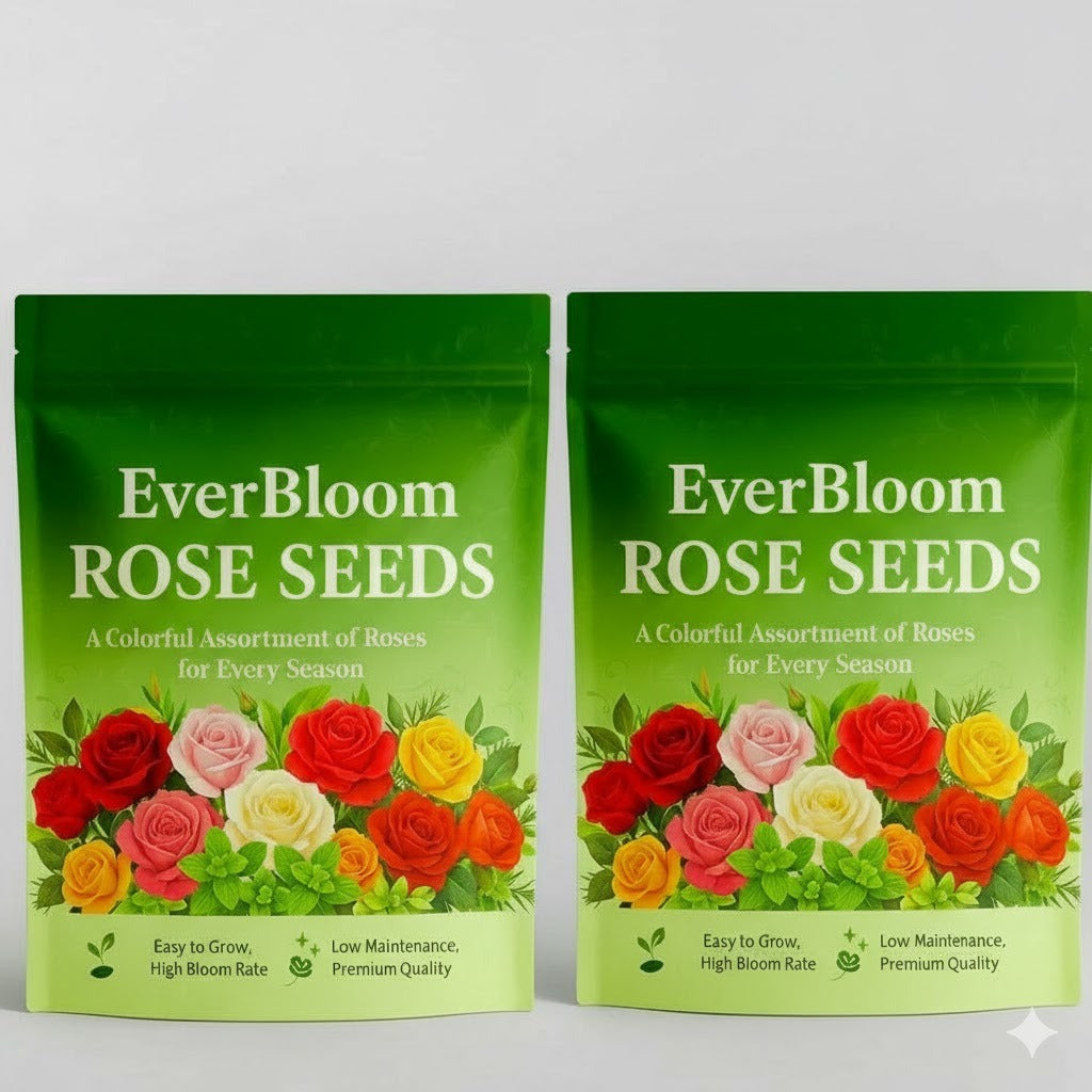 Climbing Rose Seeds (60+ Multicolour seeds)
